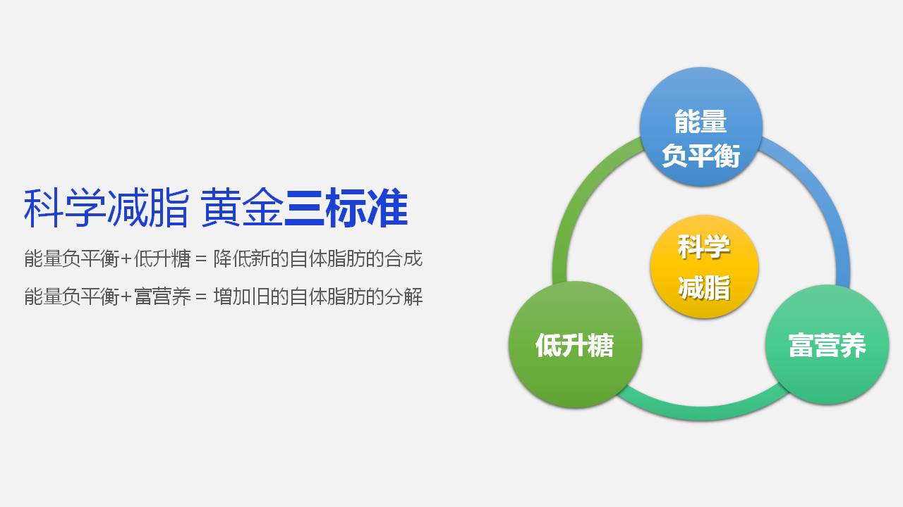 科学减脂解决方案